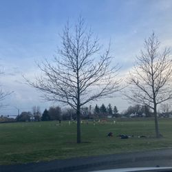 Delco Park - Soccer season has started