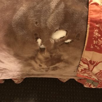 Wildwood Inn - Burnt wholes in blankets - Hotels Near Me - Florence, Kentucky Wildwood Inn - Burnt wholes in blankets - Hotels Near Me - Florence, Kentucky