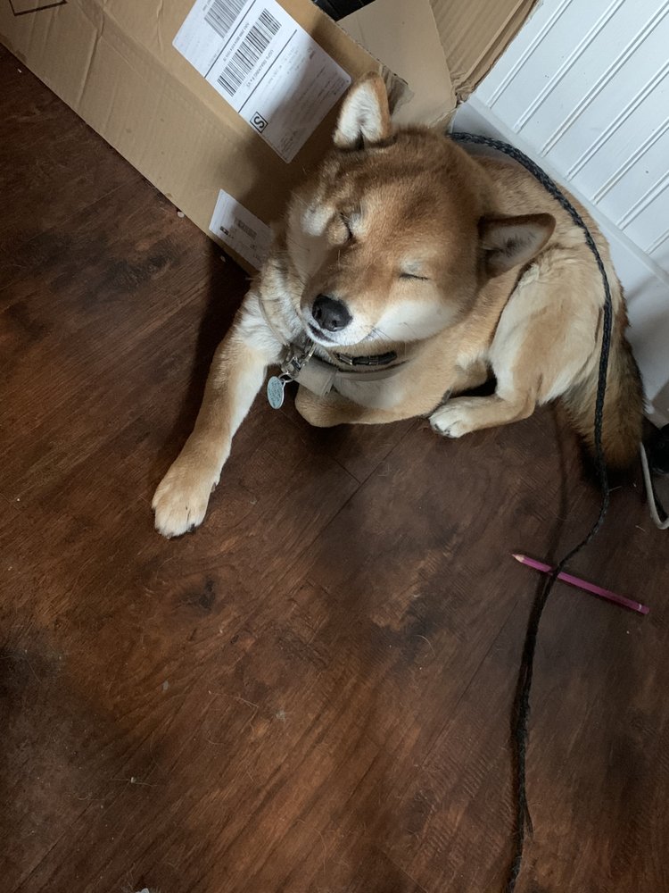 GREAT FALLS VETERINARY SERVICES Updated October 2024 115 37th St N