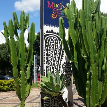 Mucho Gusto Gastronomia - Mexican Near Me - Brasília, DF Mucho Gusto Gastronomia - Mexican Near Me - Brasília, DF