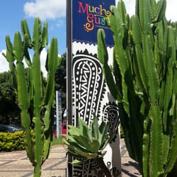 Mucho Gusto Gastronomia