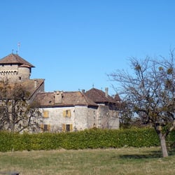 Château d'Avully - Le château, vu de la route de Bons