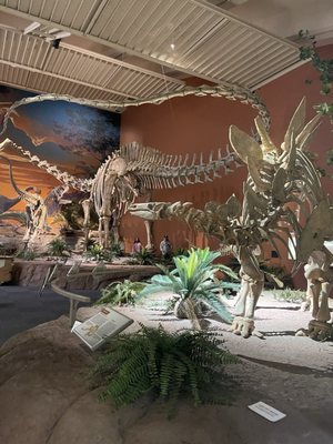 New Mexico Museum of Natural History and Science by null