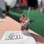 Photo of The Cookie Bar Queen