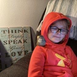 Sparky's Bird Store - Pearl my grandkids too!