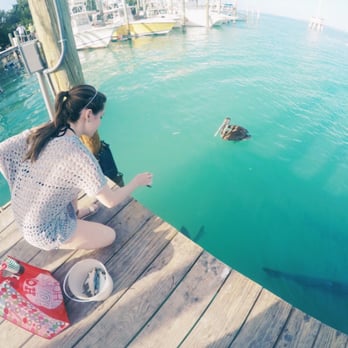 Tarpon Feeding - Local Flavor Near Me - Islamorada, Florida