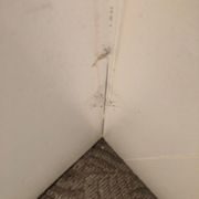Photo of Maid VIP - Thousand Oaks, CA, United States. Cobwebs in corner with no furniture to hide them