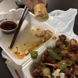 vegetable egg roll, side sauce, black  pepper chicken, spicy chicken