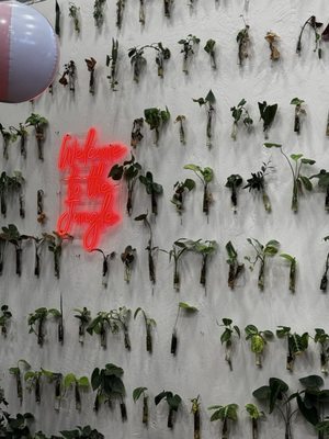 Menu photo 1 Selva Coffee House San Diego, CA