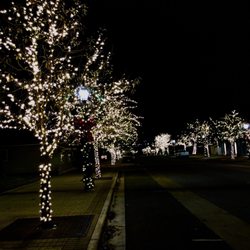 Round Rock Trail of Lights