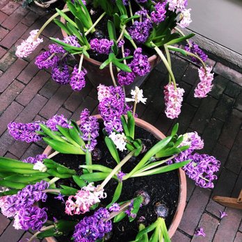 Gartine - Adorable flower pots outside - Breakfast & Brunch Near Me - Amsterdam, New Hampshire