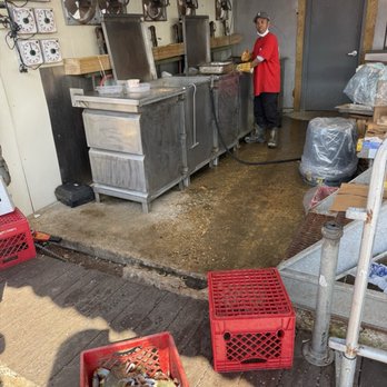 Jessie Taylor Seafood - Waiting for a steamer to open up - Seafood Markets Near Me - Washington, DC, District of Columbia Jessie Taylor Seafood - Waiting for a steamer to open up - Seafood Markets Near Me - Washington, DC, District of Columbia