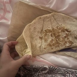 empty Steak Quesadilla