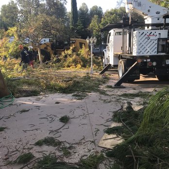 Thrifty Tree Service - Tree Services Near Me - Tarzana, California Thrifty Tree Service - Tree Services Near Me - Tarzana, California