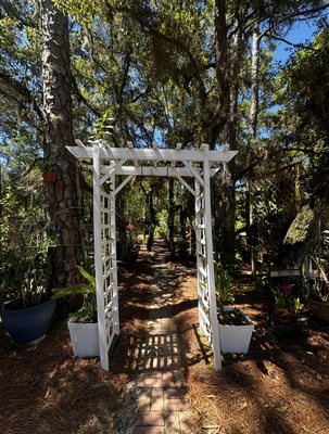 Port St. Lucie Botanical Gardens by null