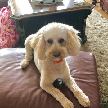 The Pet Parlor - Pet Sitting Near Me - Bozeman, Montana The Pet Parlor - Pet Sitting Near Me - Bozeman, Montana