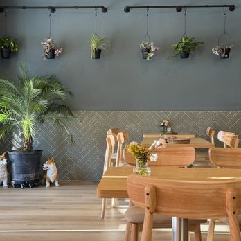 Hidden Dumpling House - Landpark - Indoor seating - Chinese Near Me - Sacramento, California