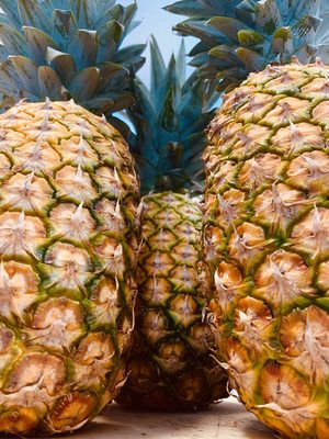 Tondi Gelato by null