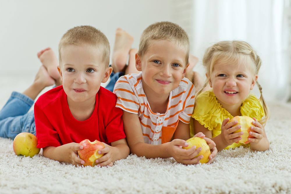 ALL CLEAN!, LLC Updated September 2024 243 Photos & 20 Reviews 1806 Leedum Ln, Quakertown