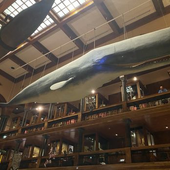 Bishop Museum - Museums Near Me - Honolulu, Hawaii Bishop Museum - Museums Near Me - Honolulu, Hawaii
