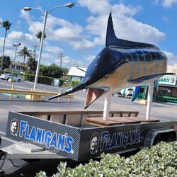 Flanigan's - Pompano Beach - Something to take a picture of ..