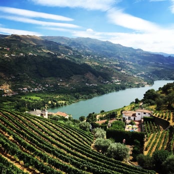 Quinta de Marrocos - The view from the Quinta de Marrocos deck. - Hotels Near Me - Lamego, 18