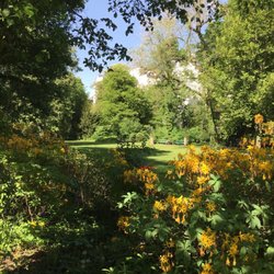 Schustehrus-Park