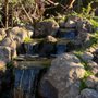 Photo of Cornerstone Ponds and Waterfalls
