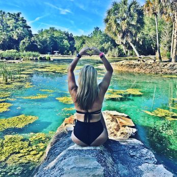 Devil's Den Prehistoric Spring - Scuba Diving Near Me - Williston, Florida