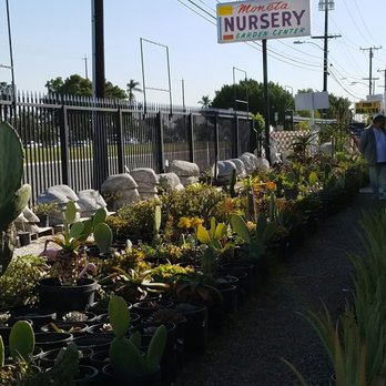 Moneta Nursery Updated Covid 19 Hours Services 103 Photos Moneta Nursery Updated Covid 19 Hours
