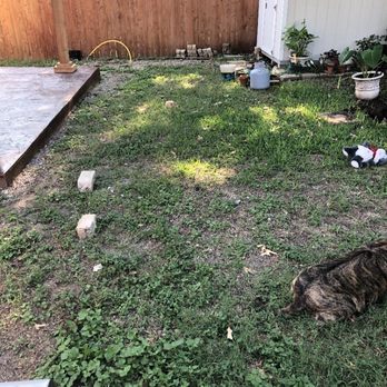 Lamb Boy Services - Before pic - Landscaping Near Me