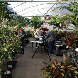 Lakeland Yard & Garden Center
