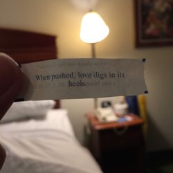 Chen's Chinese Restaurant - Fortune cookie wisdom