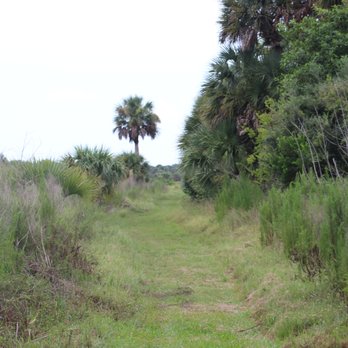Teague Hammock Preserve - Hiking Near Me - Port St Lucie, Florida Teague Hammock Preserve - Hiking Near Me - Port St Lucie, Florida