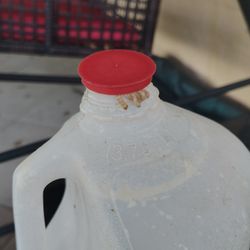 The Joy of Organics Food Buying Club - Proof of contaminated milk
