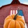 Photo of The Pumpkin Patch