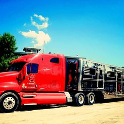 Kc Horse Transport