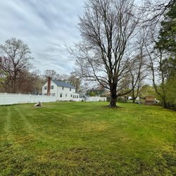 JDC Lawn & Tree - My yard after first mow.