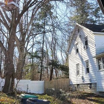 R&R Property Services - Tree Services Near Me R&R Property Services - Tree Services Near Me
