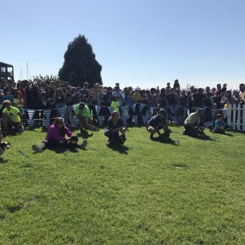 Kirkland Oktoberfest - Wiener dog races - Festivals Near Me - Kirkland, Washington Kirkland Oktoberfest - Wiener dog races - Festivals Near Me - Kirkland, Washington