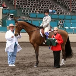 KCS Equestrian Center - From start to finish