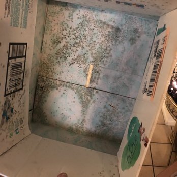 Certified-Environmental - Mold growth on inside of cardboard storage box. - Home Inspectors Near Me