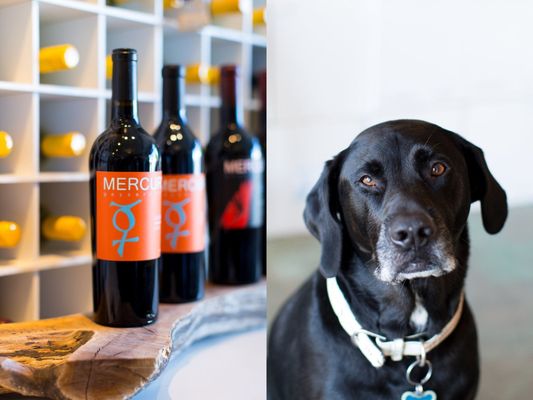 Mercury Wine by null