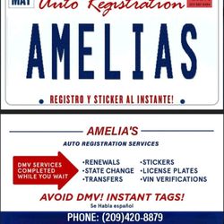 Amelia's Auto Registration