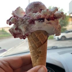 Gelateria Elefantino - Amarena (cherry)