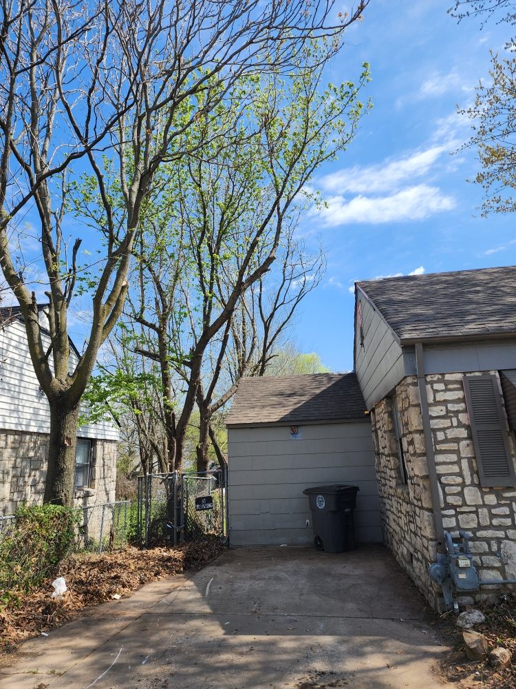 Midtown Tree Service - tree service in Tulsa, OK