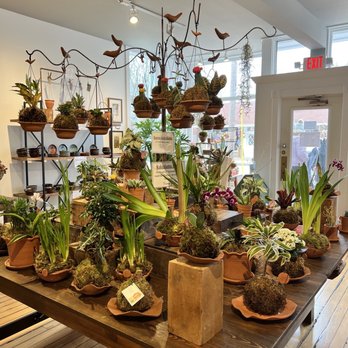 Puddingstone - Nurseries & Gardening Near Me - Saugatuck, Michigan