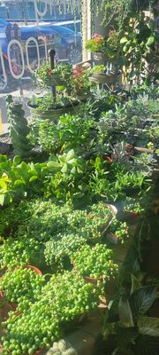 The Living Room by null