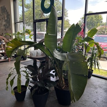 Tenfold Coffee - Coffee & Tea Near Me - Houston, Texas Tenfold Coffee - Coffee & Tea Near Me - Houston, Texas