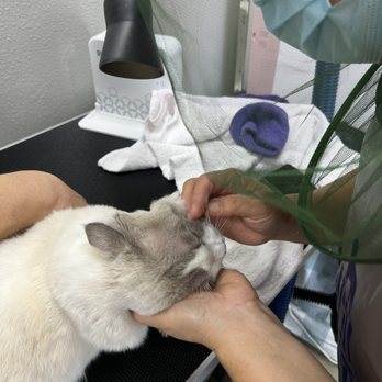 Happy Cat Grooming - Pet Groomers Near Me - Cypress, California Happy Cat Grooming - Pet Groomers Near Me - Cypress, California